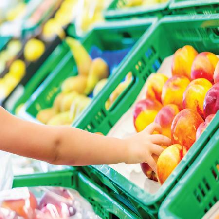 Các mẫu sọt nhựa đựng trái cây