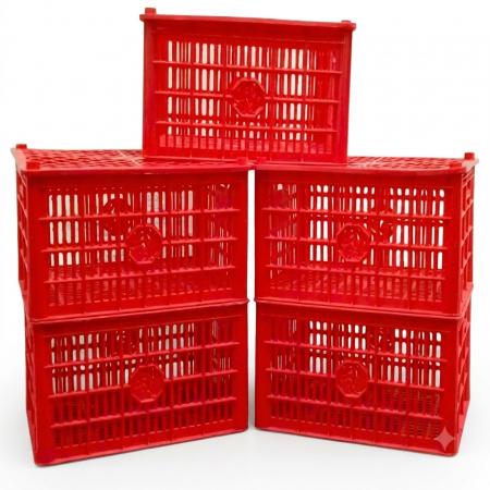 Sọt đựng trái cây xuất khẩu